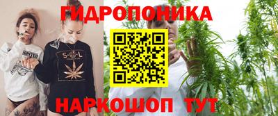 молекула духа Краснознаменск