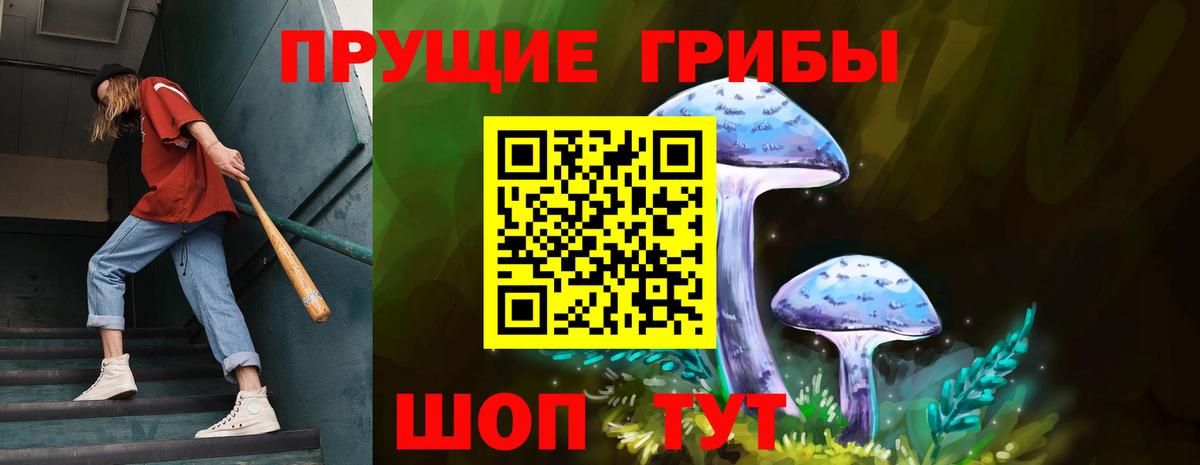 Псилоцибиновые грибы Cubensis Амурск